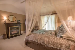 Elegant bedroom with a large bed draped in canopy netting and gold patterned bedding, a dark wood fireplace with a round mirror above it, and bright curtains behind the bed.